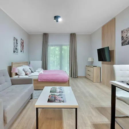 Comfortable With Mountain View And Outdoor Parking In By Renters * 스클라르스카포렘바